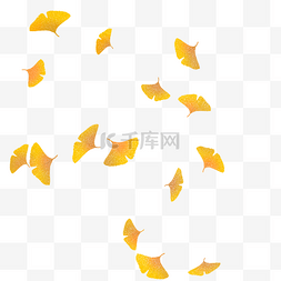秋天的落叶手绘图片_秋季落叶手绘插画