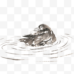 的鸭子图片_休憩的鸭子水墨画PNG免抠素材