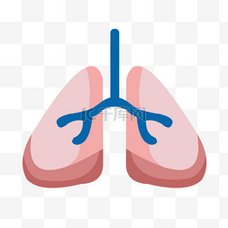 五脏六腑卡通图片_粉色手绘人体器官肺矢量免抠素材