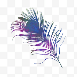 孔雀羽毛装饰图案图片_蓝紫色手绘孔雀羽毛