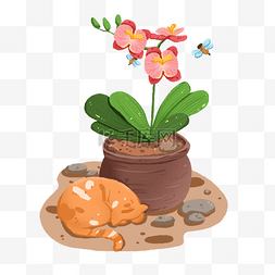 盆栽蝴蝶兰和猫咪免抠元素