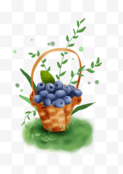 植物生态园图片_采摘篮子蓝莓