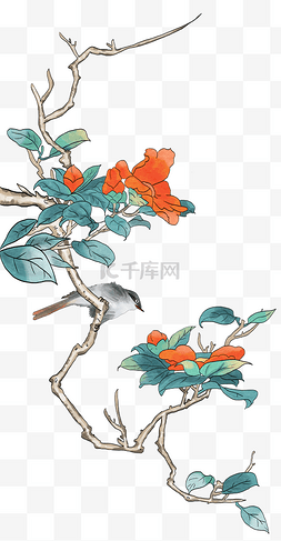 大红花图片_植物卡通手绘插画