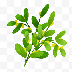 绿色植物简约图片_手绘绿色植物绿叶果子