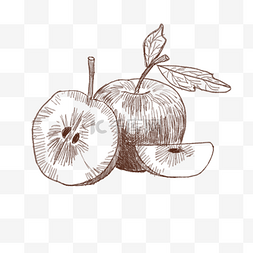 手绘线描苹果插画