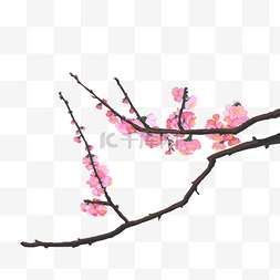 新中式风格粉色梅花装饰图手绘