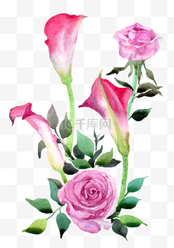 手绘粉色的花卉插画