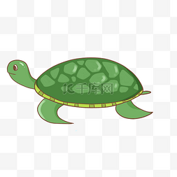 海龟和鳗鱼图片_可爱海洋动物海龟插画
