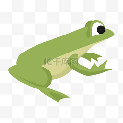 绿色的青蛙手绘插画