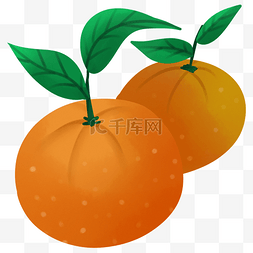 桔子味道水果植物种植橘色生长