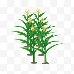 绿色的植物和黄色的花穗手绘设计