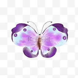 飞翔的蝴蝶图片_紫色渐变飞翔的蝴蝶