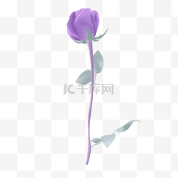 情人节图片_手绘水彩节日用花紫玫瑰