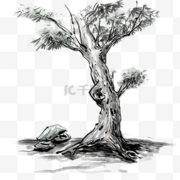 岩石图片_国画一棵松树