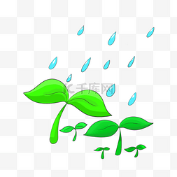 雨水和植物手绘插画