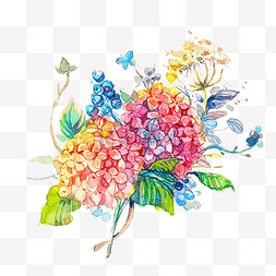 绣球花彩色彩虹缤纷PNG花卉花球PNG