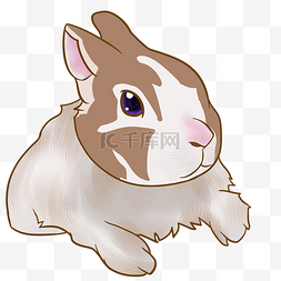 灰色的小兔手绘插画