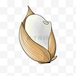 米饭图片_包裹着稻壳的大米粒