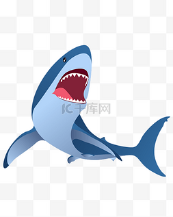 尖嘴鱼鲨鱼图片_矢量手绘卡通鲨鱼