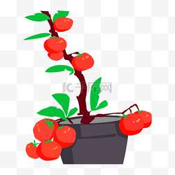 手绘盆栽图片_手绘卡通西红柿盆栽