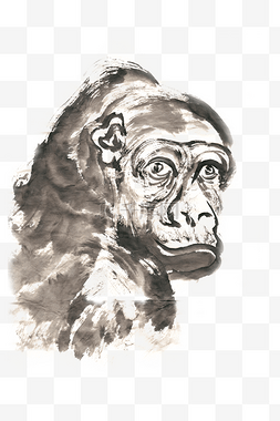 猿猴图片_转脸的猿猴水墨画PNG免抠素材