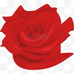 红色玫瑰卡通风格