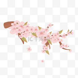 卡通樱花手绘图片_春分樱花手绘插画