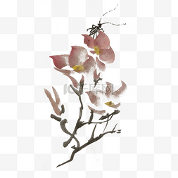 中国风昆虫花草手绘插画