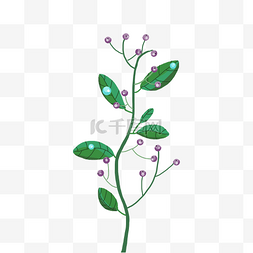 春季植物绿色紫花PNG