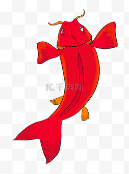 鱼图片_红色锦鲤鲤鱼手绘