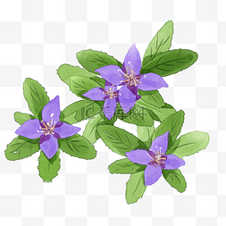 盆栽装饰图案紫色的花