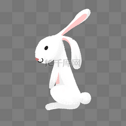 可爱的小白兔卡通图片_可爱小白兔卡通png素材