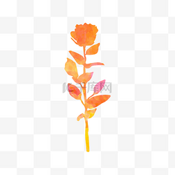 橘色喷墨花朵图案