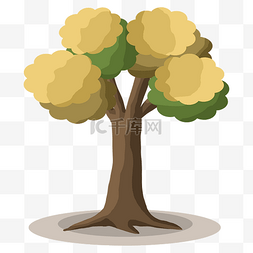黄色的树图片_一棵树黄色的树植物