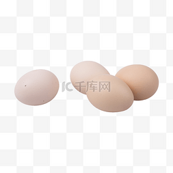 做饭食材图片_鸡蛋（png免抠）