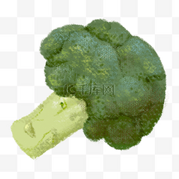 美食海报免费下载图片_西兰花卡通手绘插画