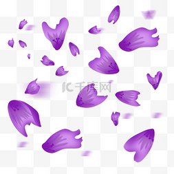 紫色花瓣漂浮图片_手绘漂浮的紫色花瓣