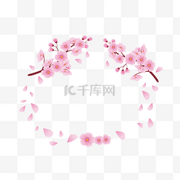 粉色 樱花 