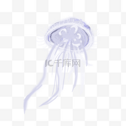蓝色虚幻图片_海洋生物蓝色水母设计图