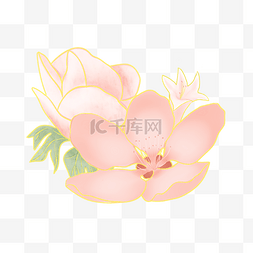 节日金边粉色手绘花叶装饰