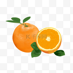 橙子手绘png下载