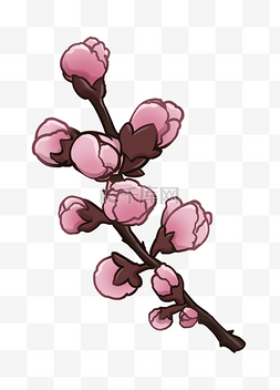 粉色桃花花苞 