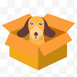 狗狗领养图片_一只坐在纸箱里的流浪狗