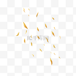 黄色树叶漂浮图片_黄色落叶花朵树叶漂浮