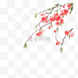 红色复古花卉图片_古风素材红色樱花