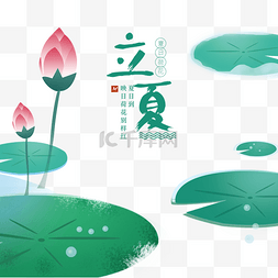 节气初夏图片_节气立夏荷花夏至png