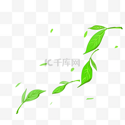 绿色的茶叶装饰插画