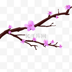 紫色的春天花枝插画