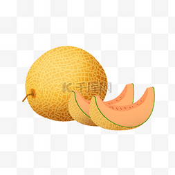 水果装饰图案金色哈密瓜