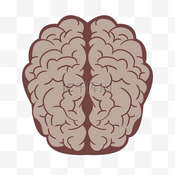 医学思考的素材图片_左右大脑的脑部图